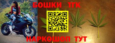 хмурый Бийск