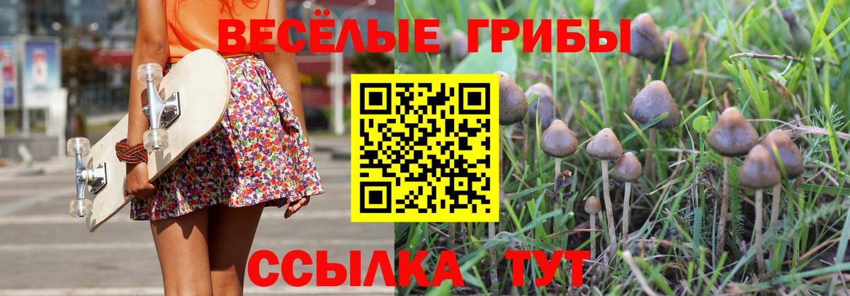 Горячий Ключ  Псилоцибиновые грибы мухоморы  Вход с VPN 